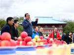 西藏林芝：一场别具一格的“苹果大会”