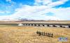 武警青海总队执勤支队执勤七中队官兵在青藏铁路沿线巡逻（5月21日摄）。新华社发（杨浩 摄）