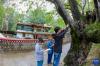 刘利平博士（中）在加查县安绕镇热果村指导学生给一株古核桃树挂牌（7月27日摄）。新华社记者 姜帆 摄