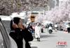 4月1日，市民在春花绽放的道路旁赏花。中新社记者 李林 摄