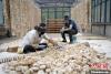 5月10日，甘肃省甘南藏族自治州迭部县一青稞酒厂，工作人员用青稞面和青稞草等制成的曲坯用绳子串起来，方便挂起来晒干。九美旦增 摄